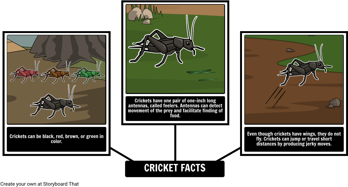 The Cricket In Times Square - The Lightning Thief (1142x624), Png Download