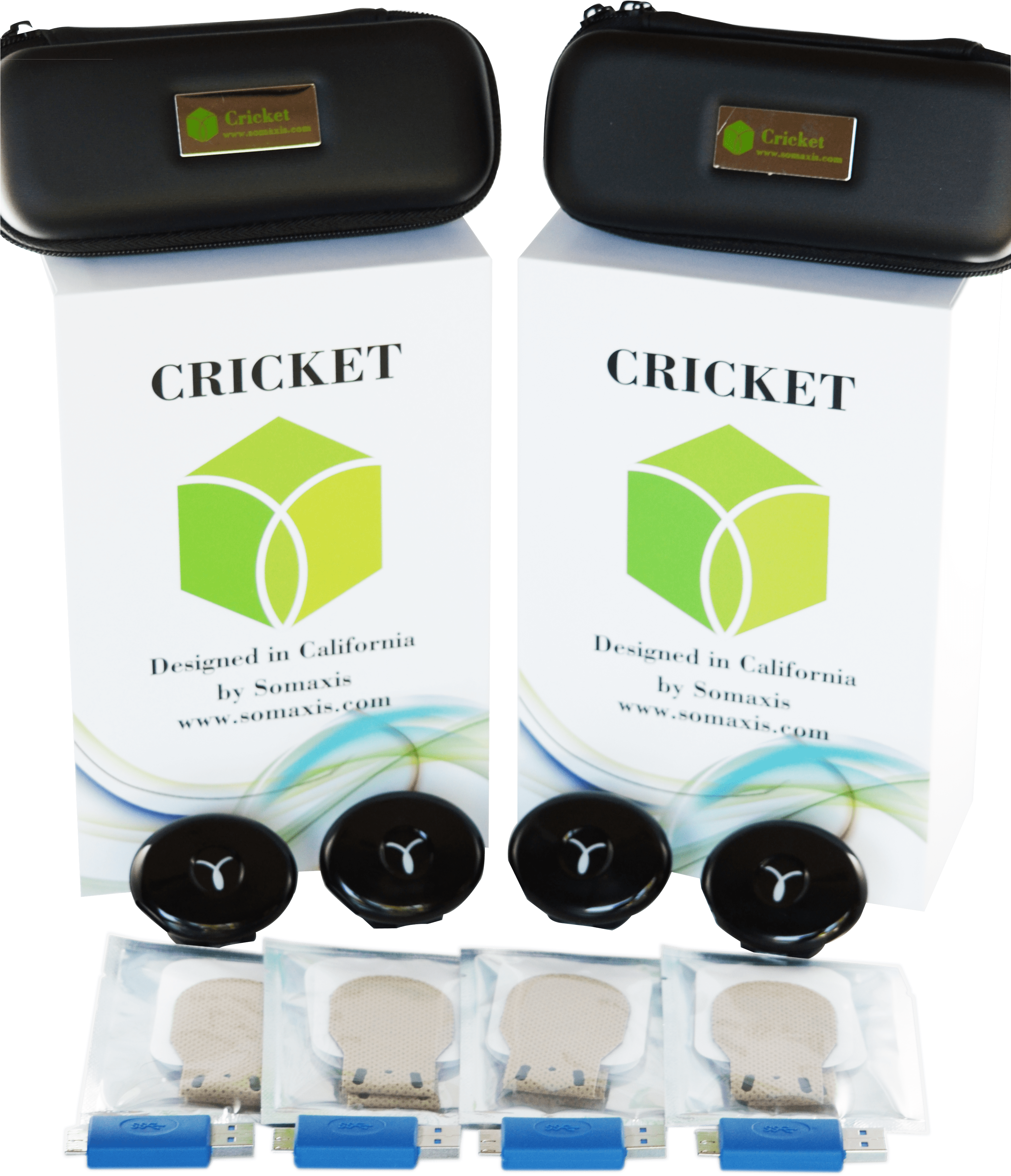 4 Crickets (3264x4928), Png Download