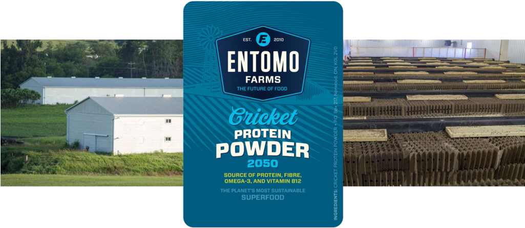 Entomo Farms Offers Crickets An Environment Similar - 【昆虫食】【カナダ産】粉末コオロギ クリケットパウダー 56g(eu 米国 カナダのオーガニック認証) (1024x453), Png Download