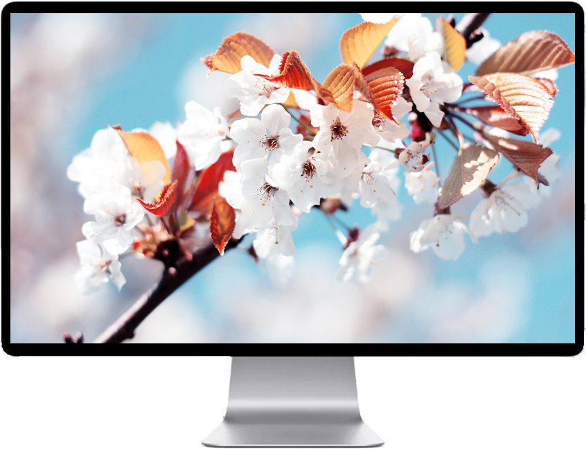 Score 50% - Fujifilm Finepix Jx500 Digital Camera (black) (black) (846x650), Png Download