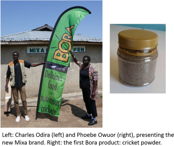 The First Product Is Ground Crickets, That May Be Applied - Banner (600x496), Png Download