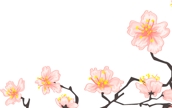 Asian Sakura3 - Zinnia (1000x1000), Png Download