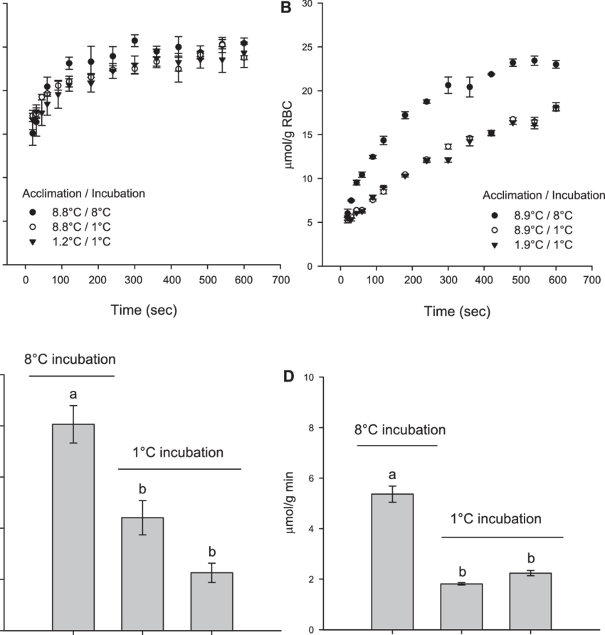 Glycerol Uptake Versus Time By Red Blood Cells From - Diagram (850x892), Png Download