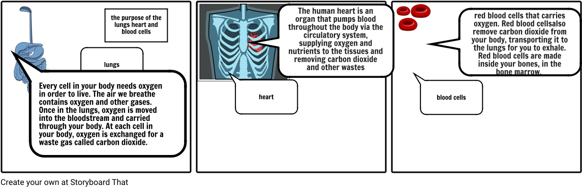 Body Book - Diagram (1164x385), Png Download