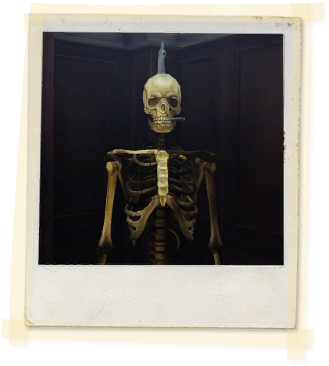 Tx E5 7b Corridor Skeleton Unlocked - Skeleton (336x388), Png Download
