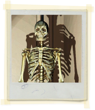 Tx E3 2a Sciclass Skeleton Unlocked - Texas (336x388), Png Download