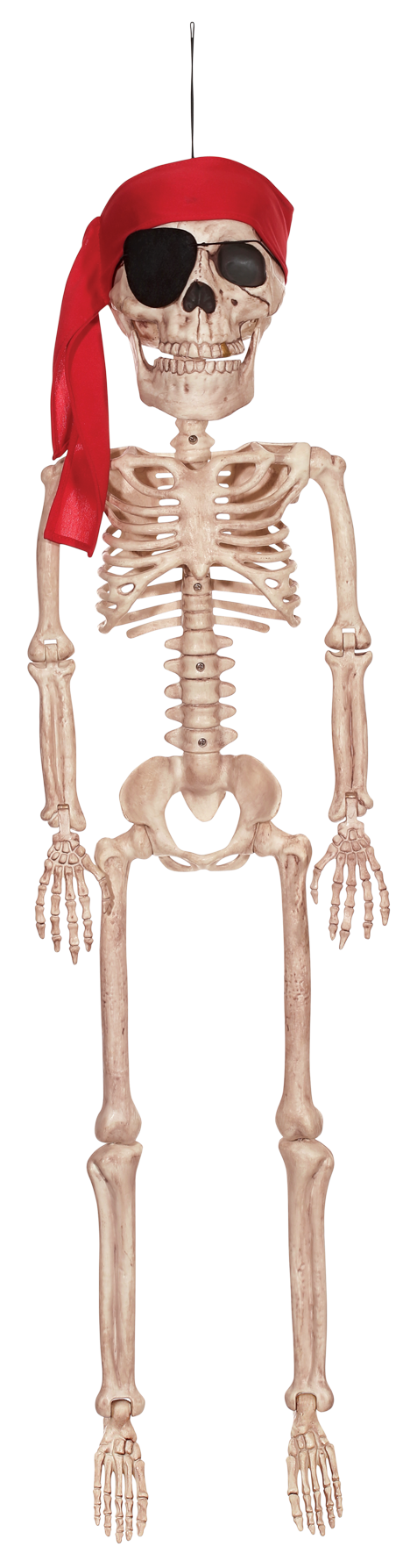 Pirate Skeleton Jr - Crazy Bonez Pirate Skeleton Jr 36" (650x1861), Png Download