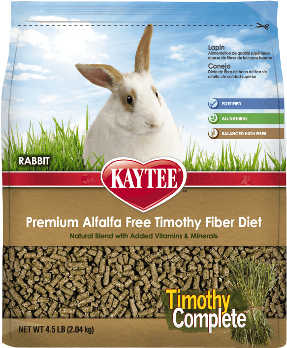 kaytee timothy complete