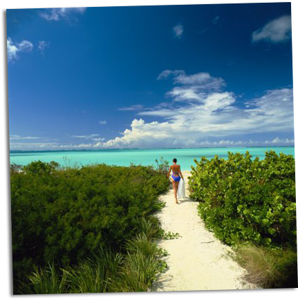 Ashley Greene 4 - Turks And Caicos (459x445), Png Download