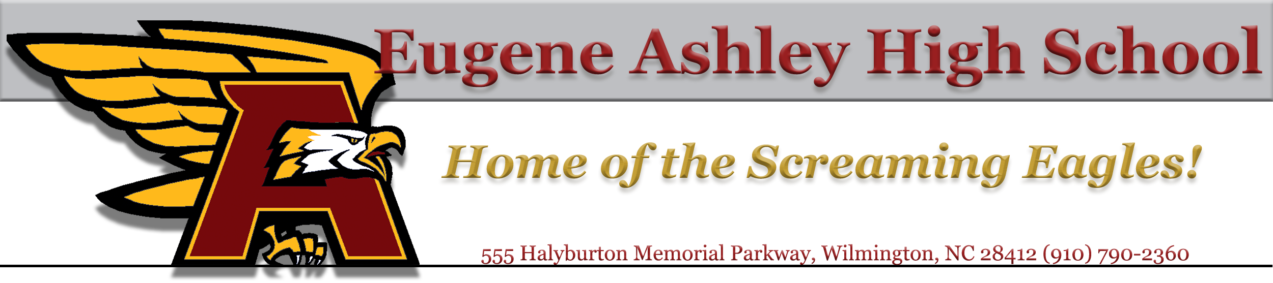 Eagle Logo - Ashley High School Logo (2500x557), Png Download