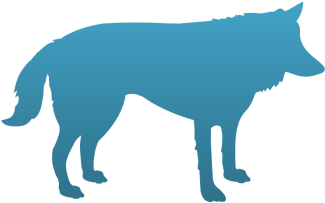 Wolf Temporary Tattoo - Wolf (350x350), Png Download