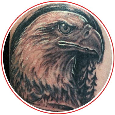 Wolf's Den Services - Bald Eagle (378x378), Png Download