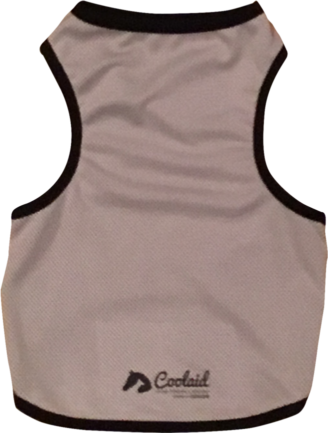 Active Tank (843x1024), Png Download