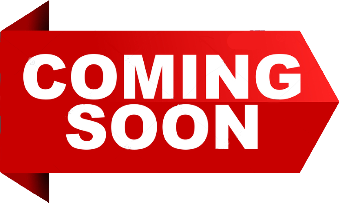 Ninja Nerf Arena - Ford Mach 1 2020 (1174x703), Png Download