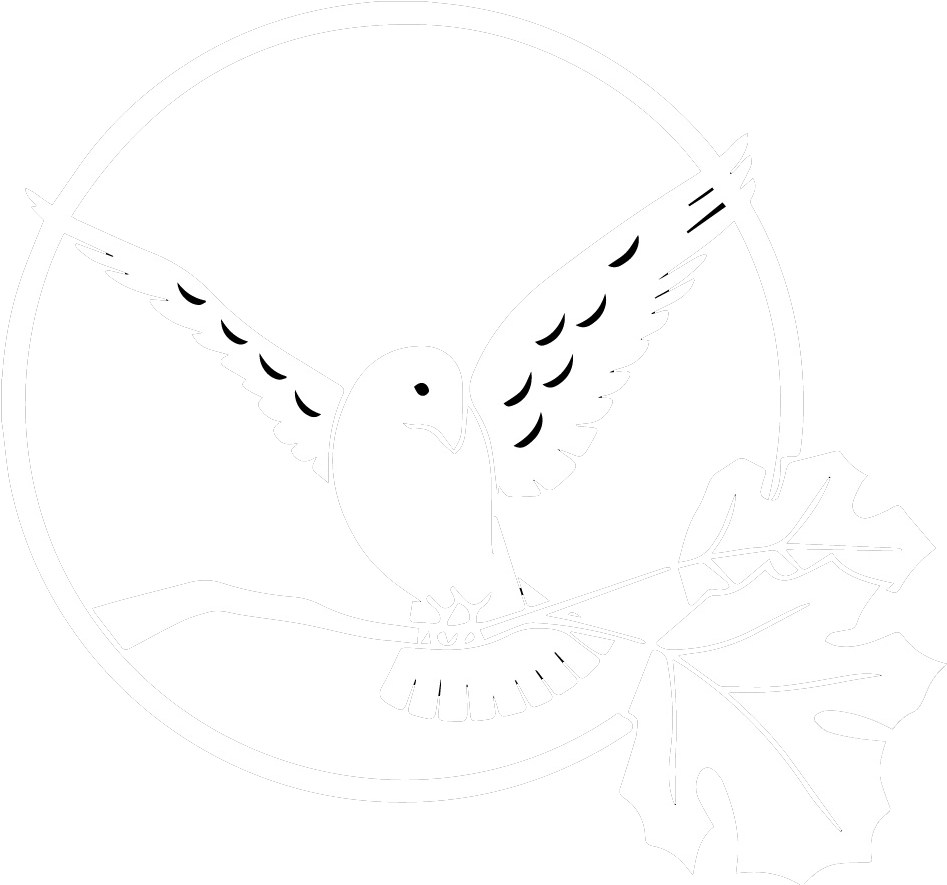 White Bird Clinic - White Bird Dental Clinic (957x957), Png Download
