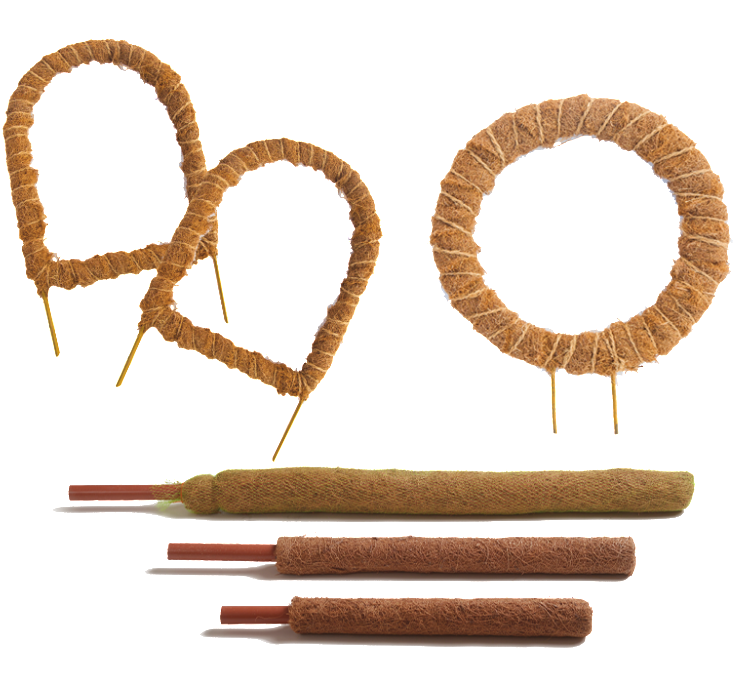 Totem Poles - Totem Pole (1024x683), Png Download