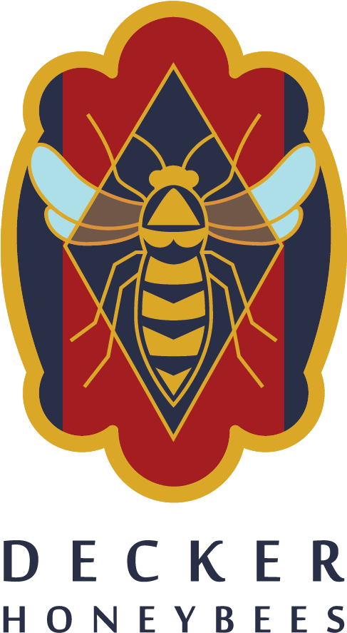 Honey Bee (1080x1080), Png Download