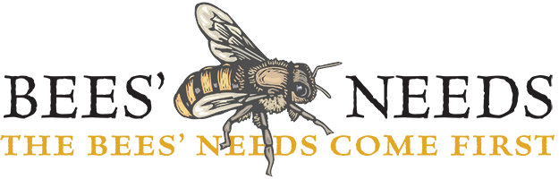 Needs Bees' Needs - Belief In The Past: Theoretical Approaches (625x200), Png Download