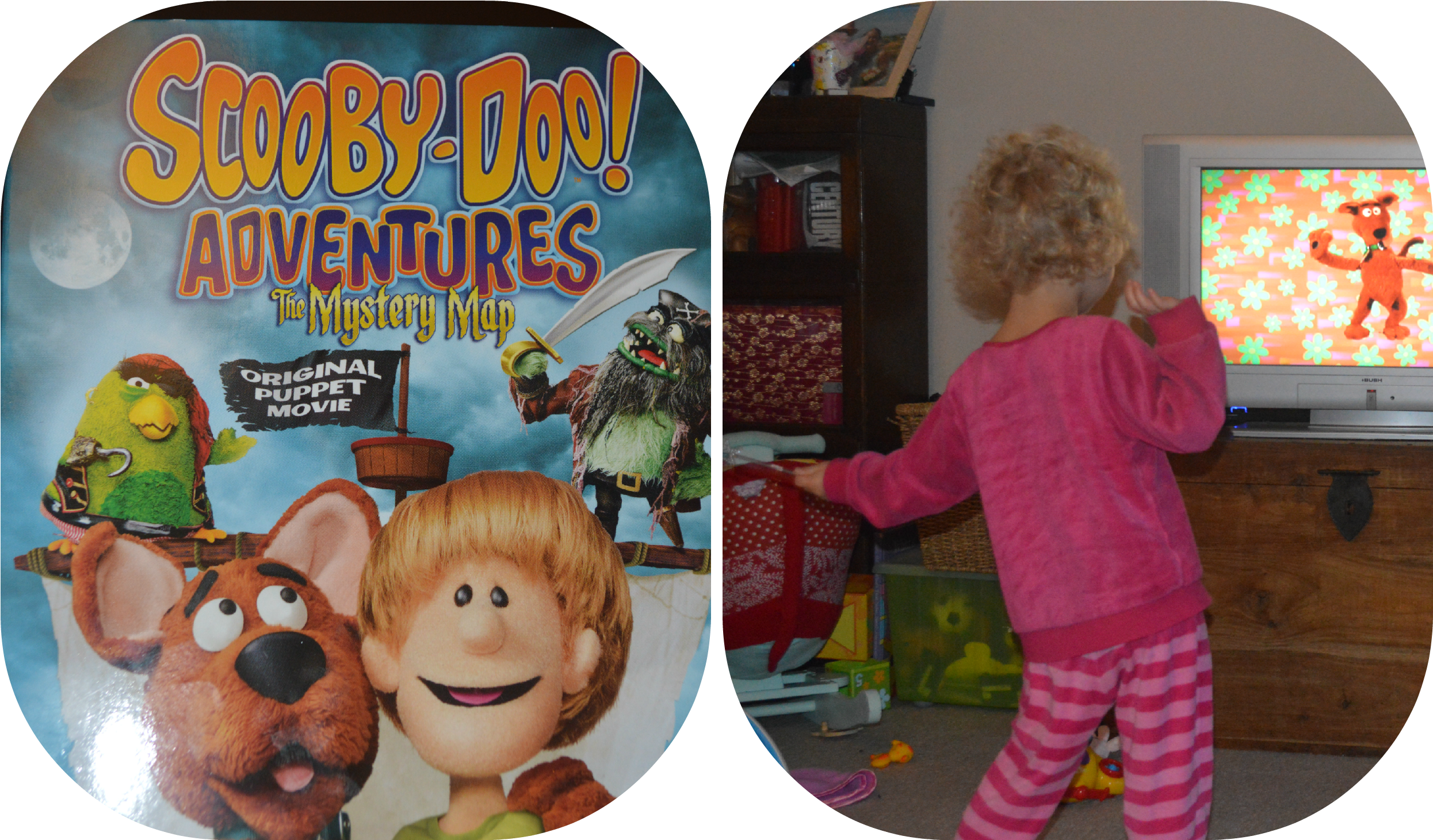 Scooby Doo Adventures The Mystery Map Download Scoobydoo1 - Scooby Doo Adventures Of The Mystery Map Dvd Png  Image With No Background - Pngkey.com
