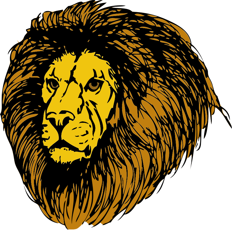 The Lion, The Witch & The Wardrobe @ Plains Community - Lion's Mane Clip Art (800x792), Png Download
