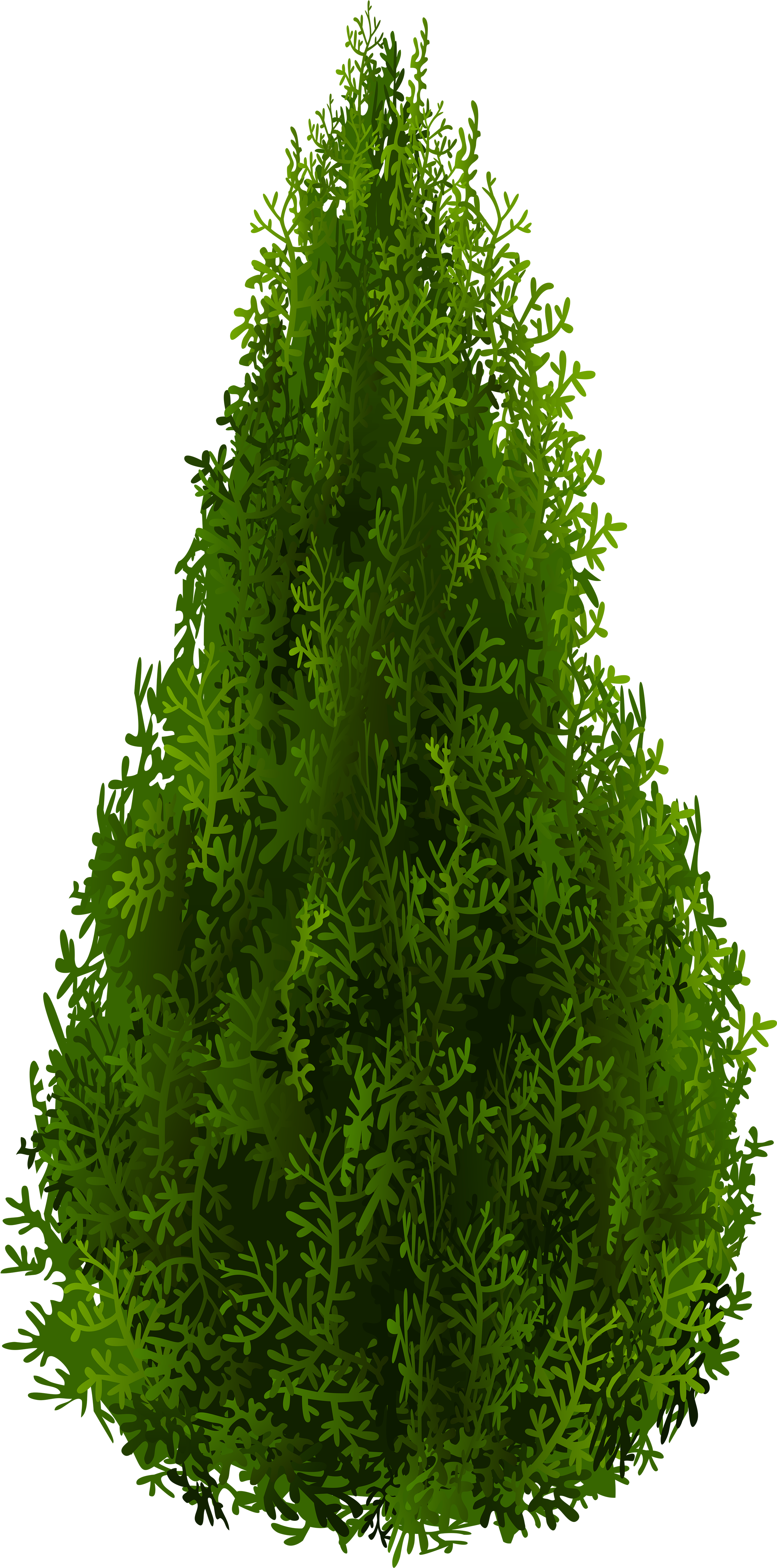Tree (2627x4953), Png Download