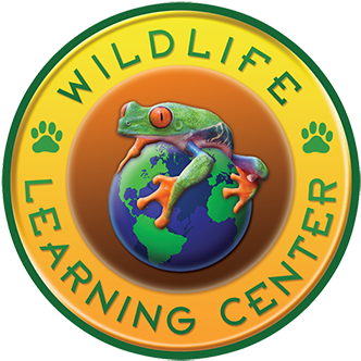 Logo - Wildlife Learning Center Logo (350x373), Png Download