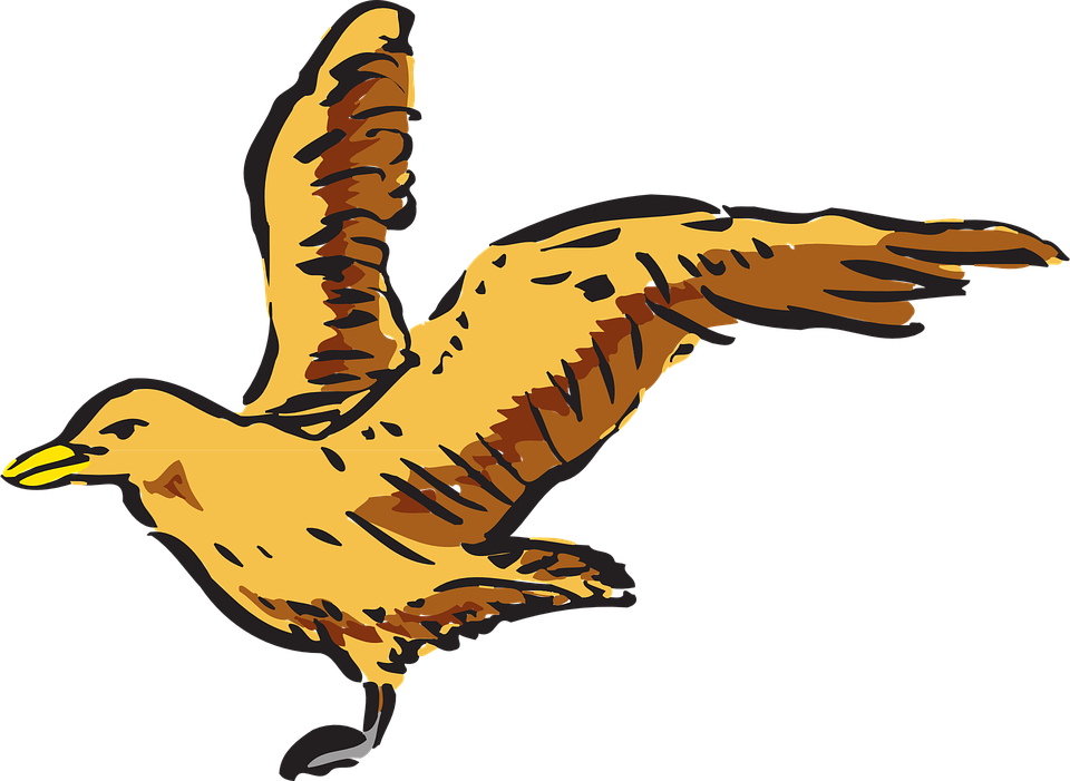 Crows Flight Clip Art - Bird Side View Clipart (960x701), Png Download