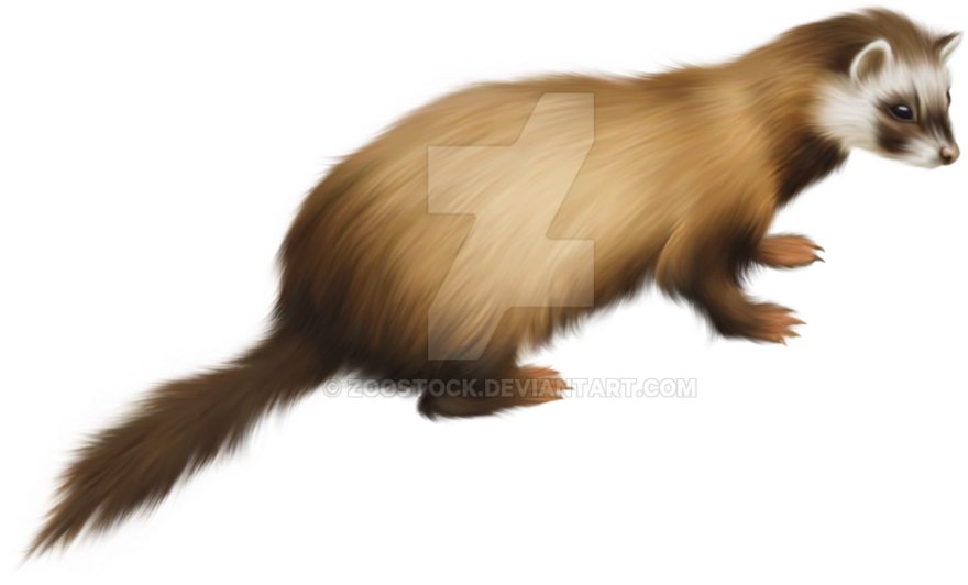 Png Files With Transparent Latest Raven Flying - Ferret Dad Greeting Card (1001x798), Png Download