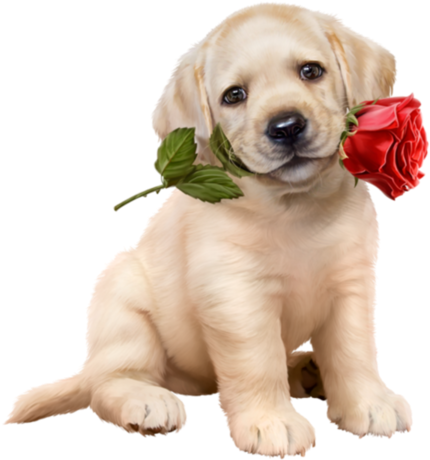 Share This Image - Dog And Rose (482x600), Png Download