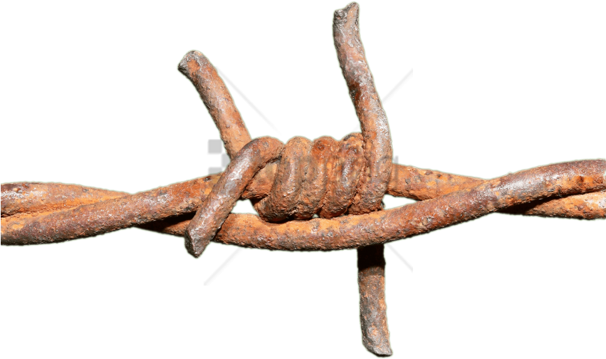 Barbed Wire Transparent Png (810x480), Png Download
