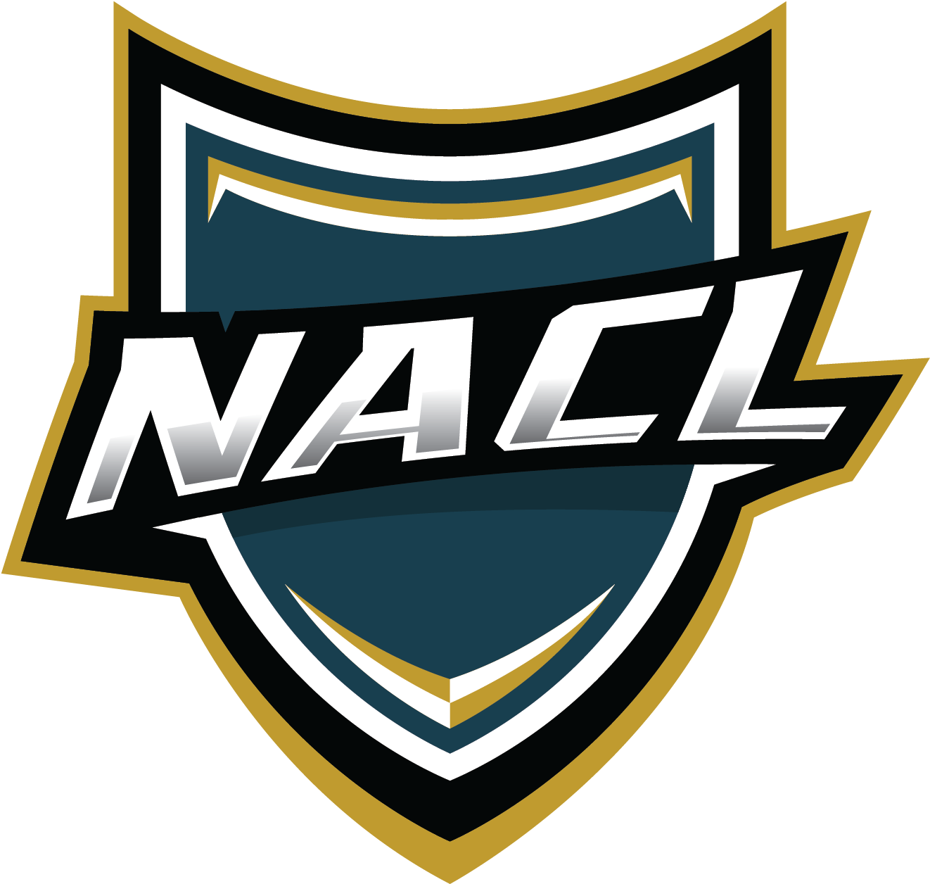 Na Champions League - Sodium Chloride (1500x1501), Png Download