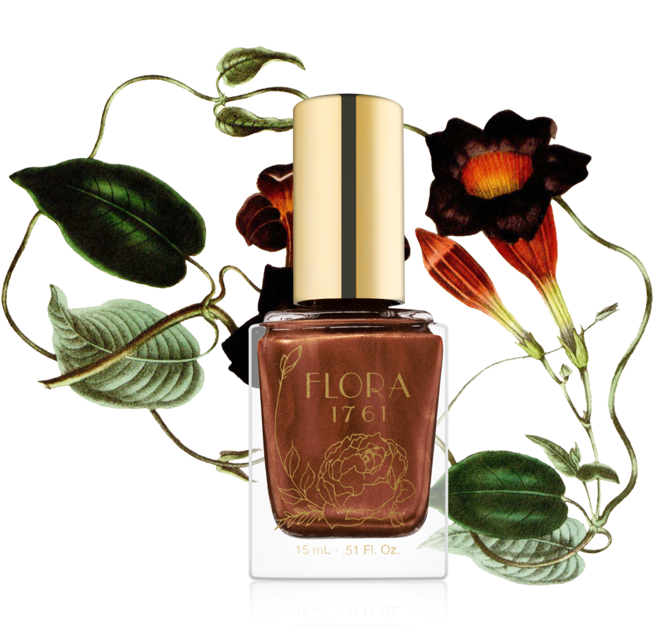 4flora 1761 Nail Lacquer In Chocolate Cosmos, $16 - Antique Print Of Echites Flora Fauna Flower Colour (1000x900), Png Download