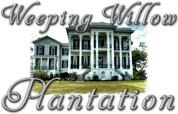 Novel Image - Nottoway Plantation (700x450), Png Download