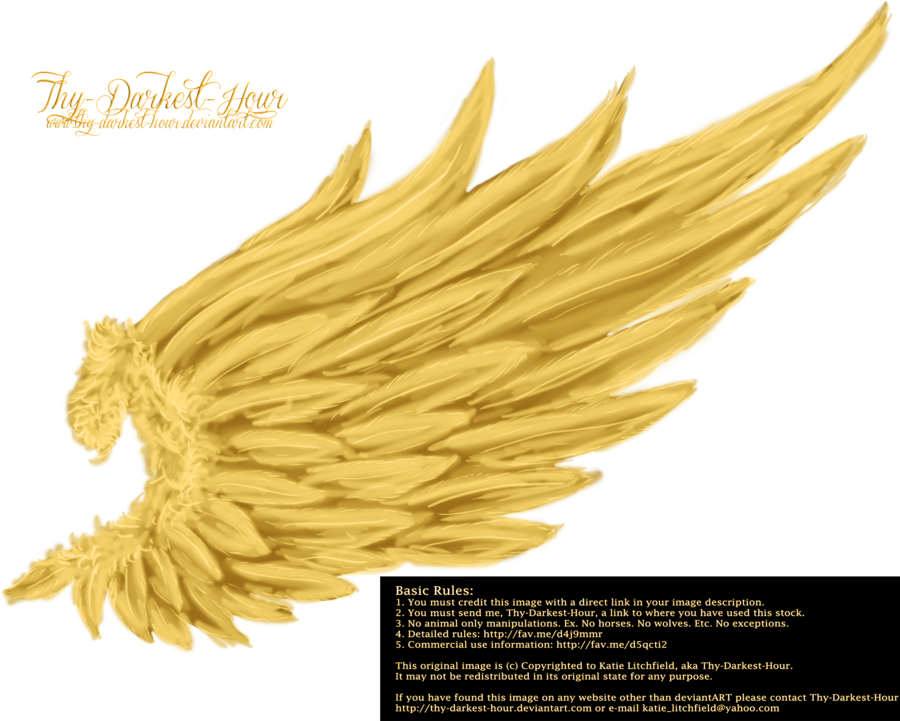 Golden Wing Png (900x721), Png Download