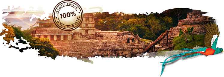 Mariachi, The Icon Of Mexican Culture, And Its Relation - Palenque (747x258), Png Download