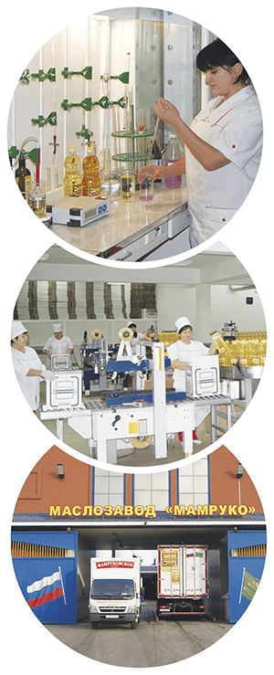 The Nikelab You Do Make Olympic Unboxed To All Small - Laboratory (300x739), Png Download