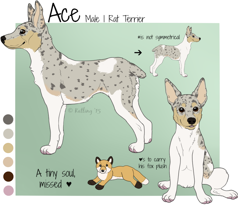 Katling Gihfsub - Norwegian Lundehund (781x674), Png Download