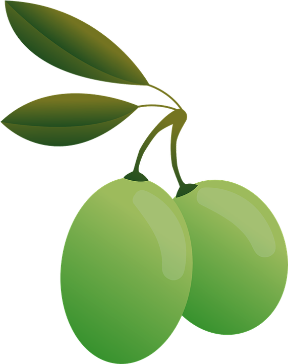 Olive (765x773), Png Download