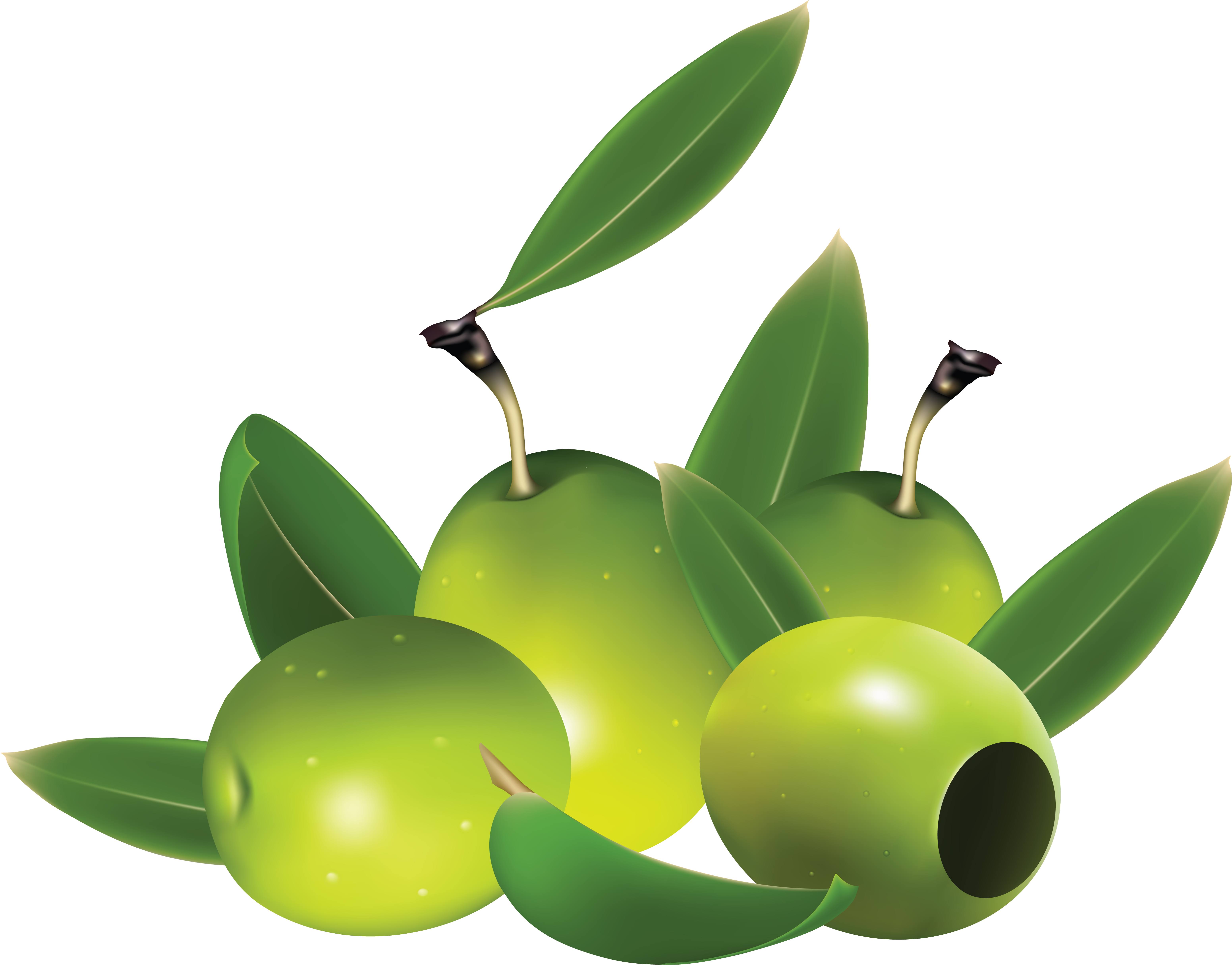 Free Png Olives Png Images Transparent - Green Olives Png (851x673), Png Download