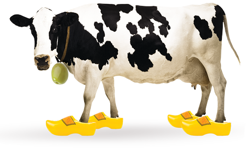 Spanish Queen Green Olives With Dutch Gouda & Cumin - Unearthed Olives With Gouda And Cumin (500x304), Png Download