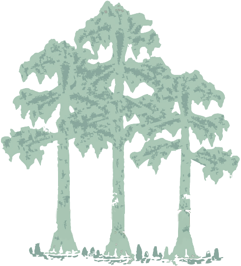 Renovations New Home Construction - Cypress Construction Inc (516x539), Png Download