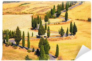 Cypress Tree Scenic Road In Monticchiello Near Siena, - Kalendarz Ścienny 2018 Drogi (400x400), Png Download