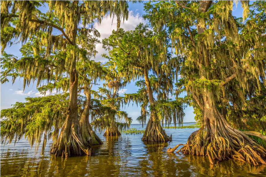 Poster: Goodman's Lake Istapoga 2, 61x41cm. (1000x1000), Png Download