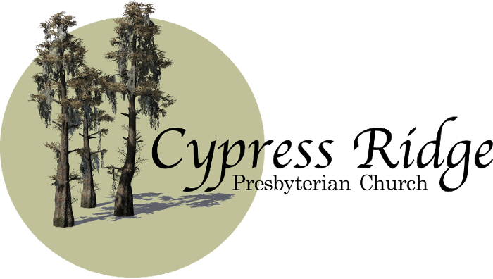 6230 Cypress Gardens Blvd, Winter Haven, Fl - Lodgepole Pine (700x396), Png Download