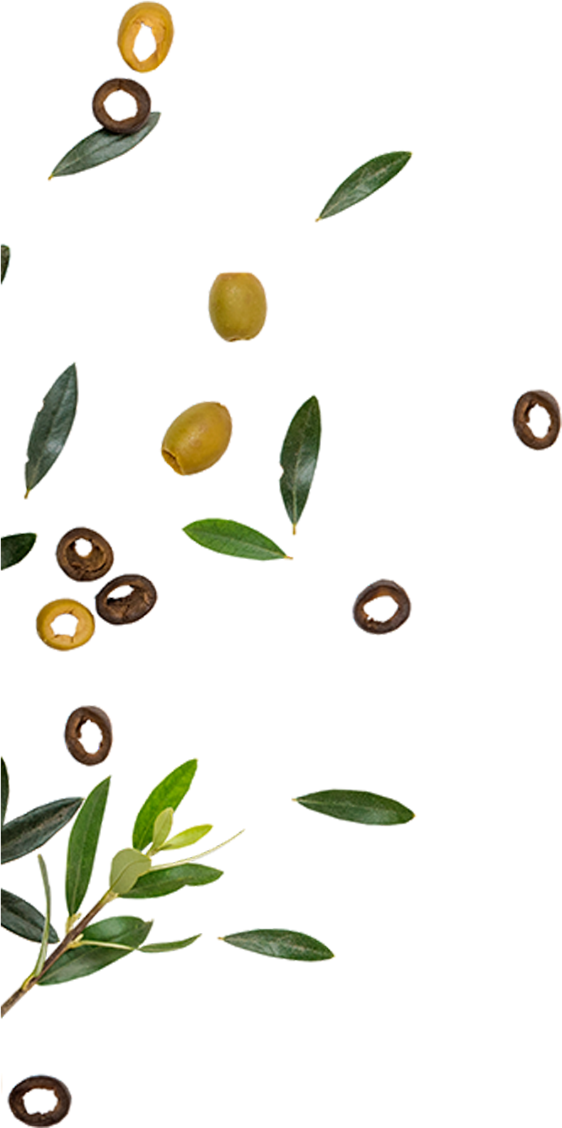 Golden Olive Is One Of The Leading Companies In The - Golden Olive (813x1667), Png Download
