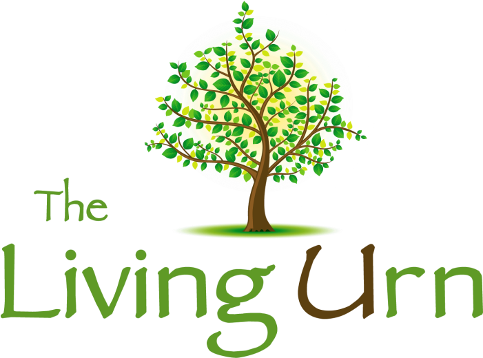 The Living Urn Tree Selection - Urn (700x529), Png Download