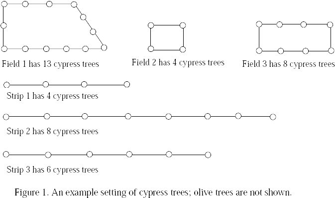 Since The Eldest Son Loves Olives He Wants To Pick - Diagram (681x402), Png Download