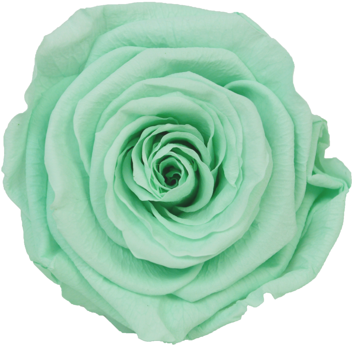 Princess Cut (1200x1172), Png Download