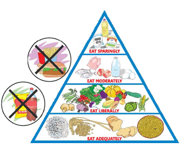 Adopt A Balanced Diet - Balanced Diet And Malnutrition (400x324), Png Download