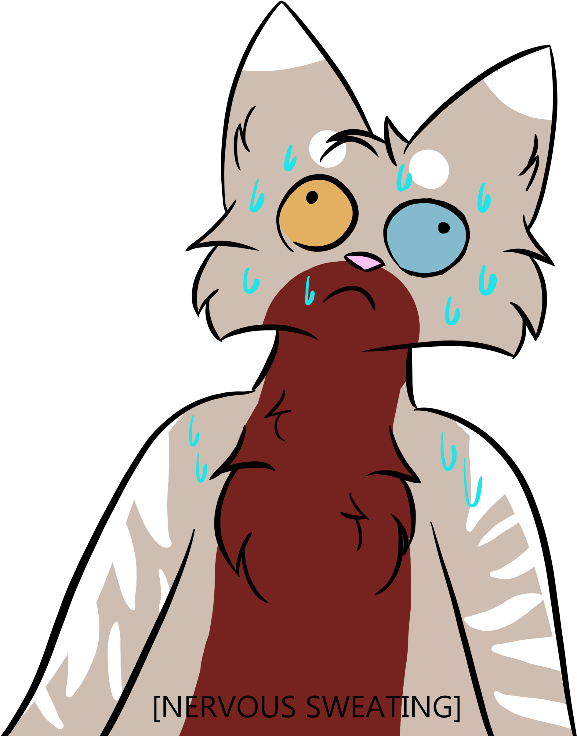 Nervous Sweating Rosethorn - Domestic Short-haired Cat (2000x2452), Png Download